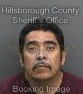 Arrezabrego Hector - Hillsborough County, Florida 