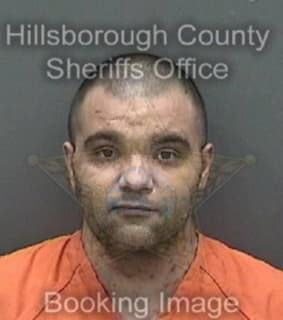 Medina Anthony - Hillsborough County, Florida 