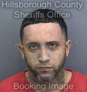 Rosariorodriguez Angel - Hillsborough County, Florida 