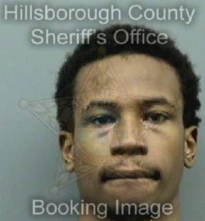 Coleman Dcorrian - Hillsborough County, Florida 