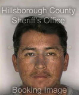 Cruzhernandez Luciano - Hillsborough County, Florida 