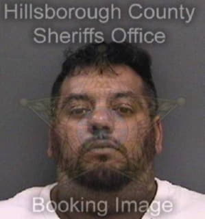 Mitchell Paul - Hillsborough County, Florida 