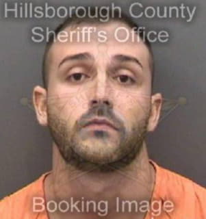 Robinson Steven - Hillsborough County, Florida 