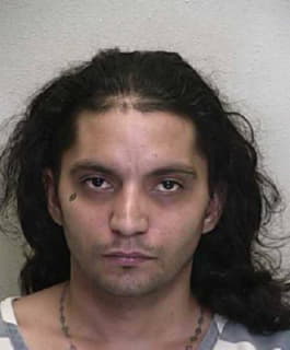 Hernandez Dagoberto - Marion County, Florida 