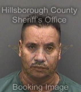 Revolorioramirez Francisco - Hillsborough County, Florida 