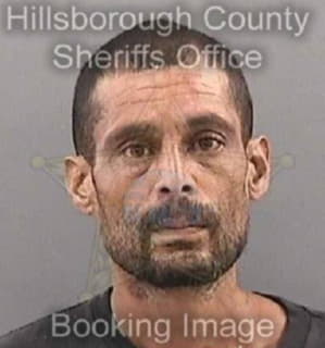 Ortiz Michael - Hillsborough County, Florida 