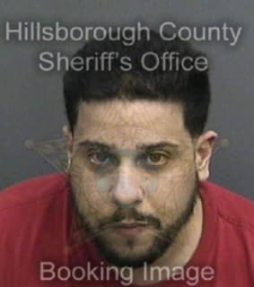 Mendez Hector - Hillsborough County, Florida 