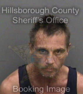 Mcneeley John - Hillsborough County, Florida 