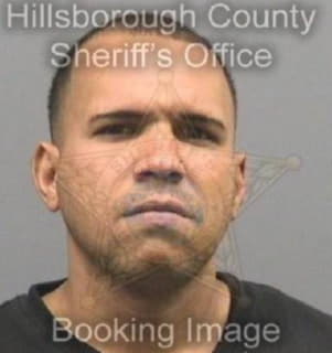 Vazquez Yamil - Hillsborough County, Florida 