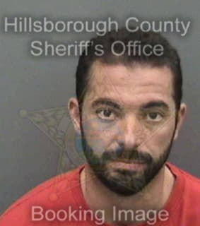 Robinson Andrew - Hillsborough County, Florida 