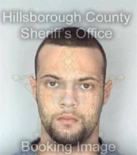 Rodriguez Elias - Hillsborough County, Florida 