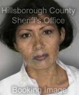 Flores Elvira - Hillsborough County, Florida 