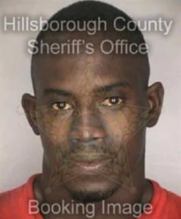 Patterson Michael - Hillsborough County, Florida 