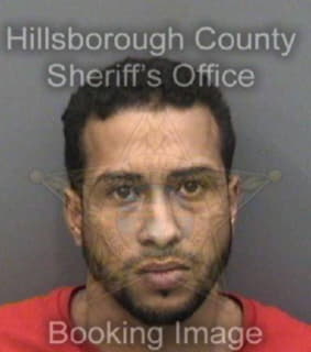 Rodriguezrodriguez Carlos - Hillsborough County, Florida 