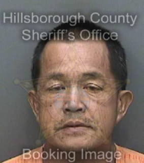 Dizon Mario - Hillsborough County, Florida 