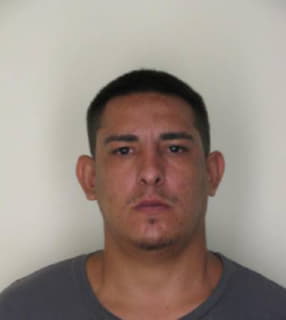 Diaz Alejandro - Hillsborough County, Florida 