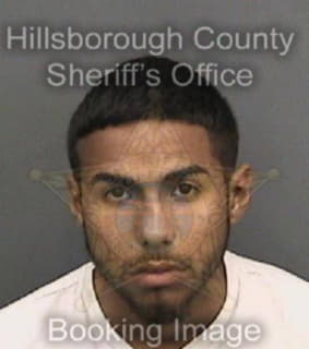 Arce Angel - Hillsborough County, Florida 