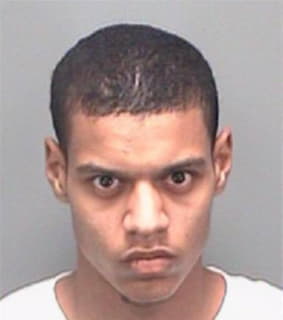 Miles Jamaal - Pinellas County, Florida 