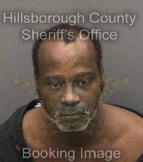 Anderson Michael - Hillsborough County, Florida 