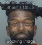 Billue Timothy - Pinellas County, Florida 