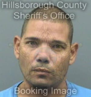 Cartagena Eliezer - Hillsborough County, Florida 