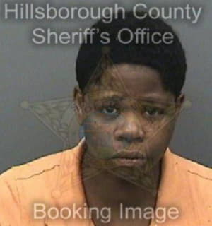 Nicholas Jacqueline - Hillsborough County, Florida 