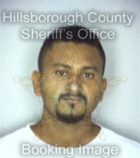 Diaz Nelson - Hillsborough County, Florida 