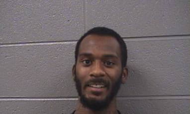 Lewis Terrance - Cook County, Illinois 