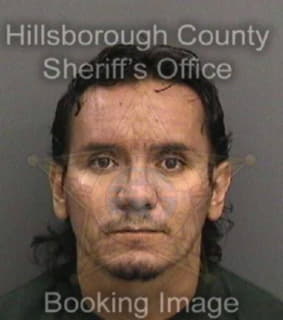 Parrabeltran Camilo - Hillsborough County, Florida 