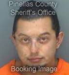 Hernandez Eduardo - Pinellas County, Florida 