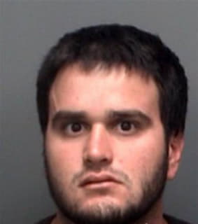 Decarlo Ian - Pinellas County, Florida 