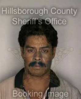 Hernandez Jesus - Hillsborough County, Florida 