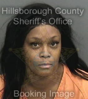 Rogers Pamela - Hillsborough County, Florida 