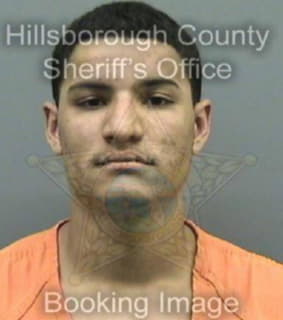 Wesley Sagen - Hillsborough County, Florida 