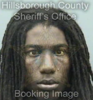 Dunkley Christopher - Hillsborough County, Florida 