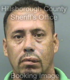 Reyes Luis - Hillsborough County, Florida 