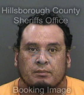 Aguirre Teofilo - Hillsborough County, Florida 