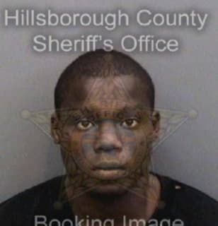 Benjamin Cedrick - Hillsborough County, Florida 