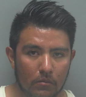 Ruiz-Gonzalez Jose - Lee County, Florida 