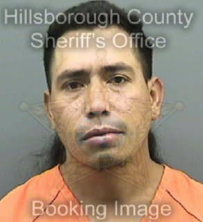 Perez Omar - Hillsborough County, Florida 