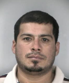 Diaz Orvin - Hillsborough County, Florida 