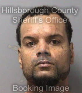 Colley Richard - Hillsborough County, Florida 