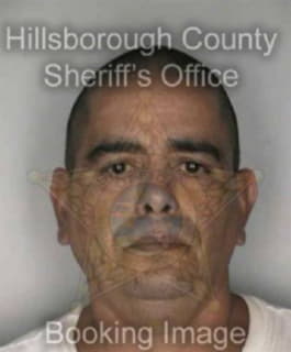 Dejesus Samuel - Hillsborough County, Florida 