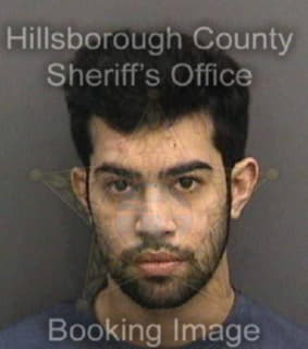 Aponte Bryan - Hillsborough County, Florida 