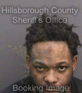 Whitson Carl - Hillsborough County, Florida 