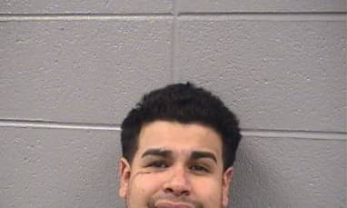 Anselmo Neftali - Cook County, Illinois 