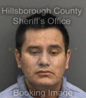 Martinezmartinez Gonzalo - Hillsborough County, Florida 