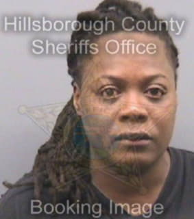 Everett Latoya - Hillsborough County, Florida 