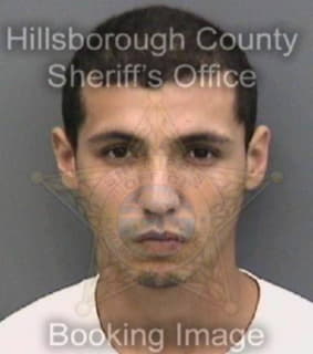 Rivera Michael - Hillsborough County, Florida 