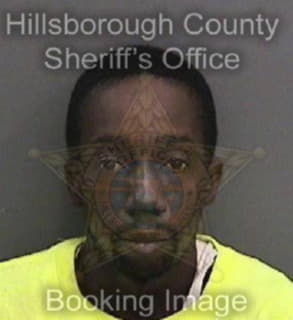 Davis Dwayne - Hillsborough County, Florida 